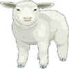 lamb2.jpg (5693 bytes)